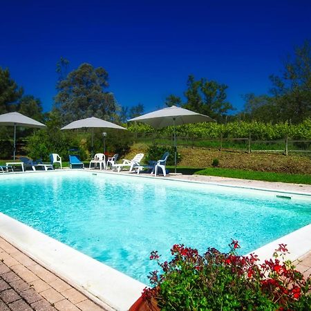 Fioralice Guest House Fauglia Ngoại thất bức ảnh
