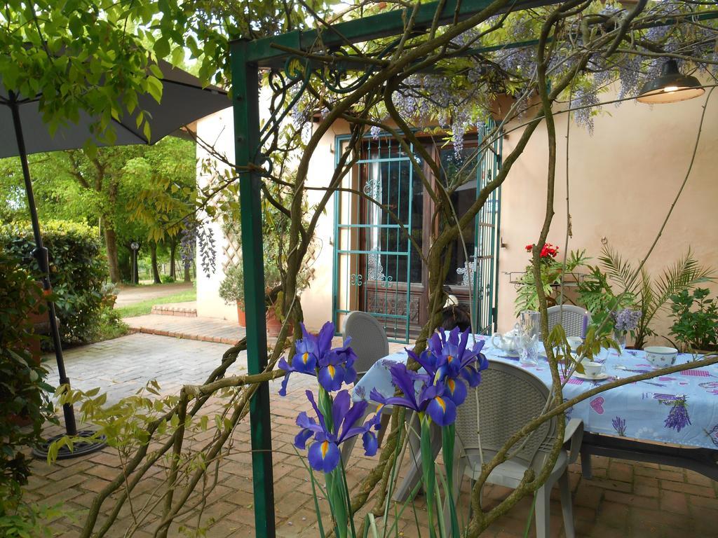 Fioralice Guest House Fauglia Ngoại thất bức ảnh