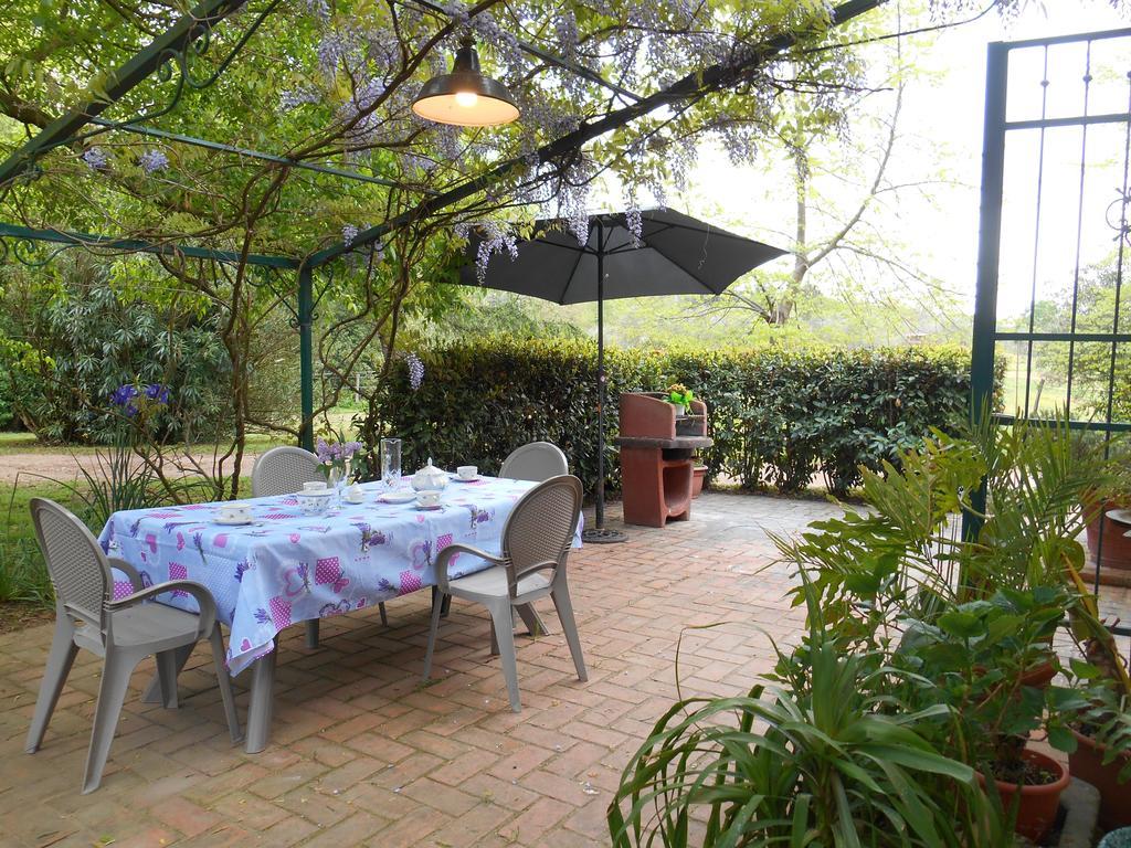 Fioralice Guest House Fauglia Ngoại thất bức ảnh