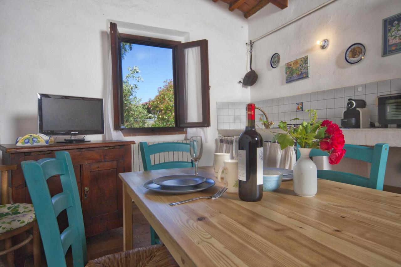 Fioralice Guest House Fauglia Ngoại thất bức ảnh